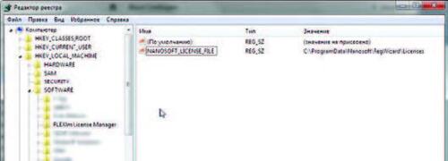 Рис. 3. Переменная NANOSOFT_LICENSE_FILE из реестра Windows хранит путь, по которому располагаются файлы лицензий для программных продуктов ЗАО Нанософт